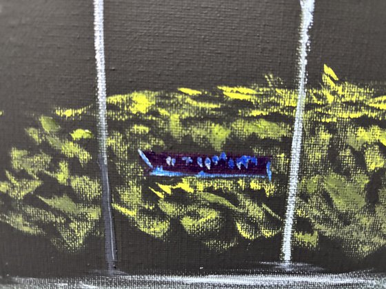 Street Signs in the Dark