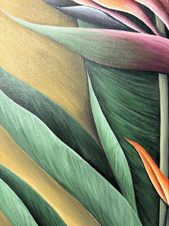 TROPICAL ORANGE STRELITZIA