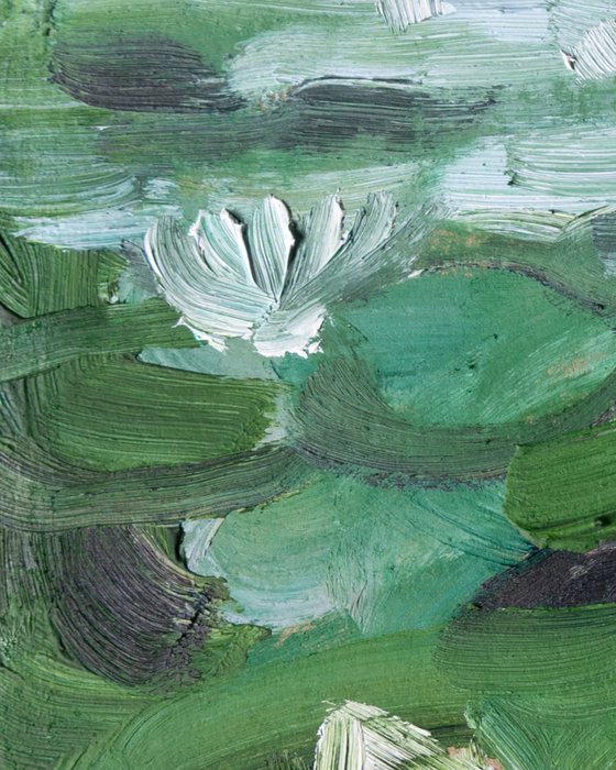 Waterlilies, Blea Tarn