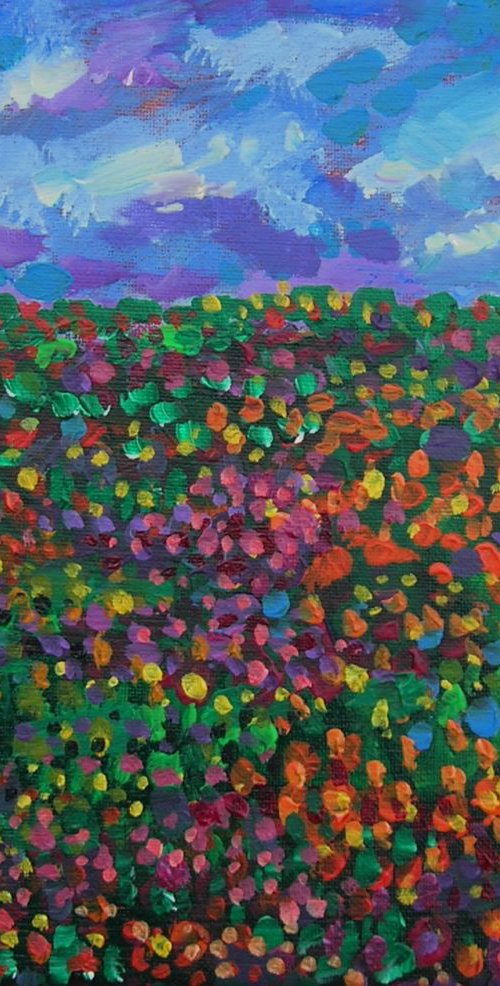 Storm over a field by Maja Grecic