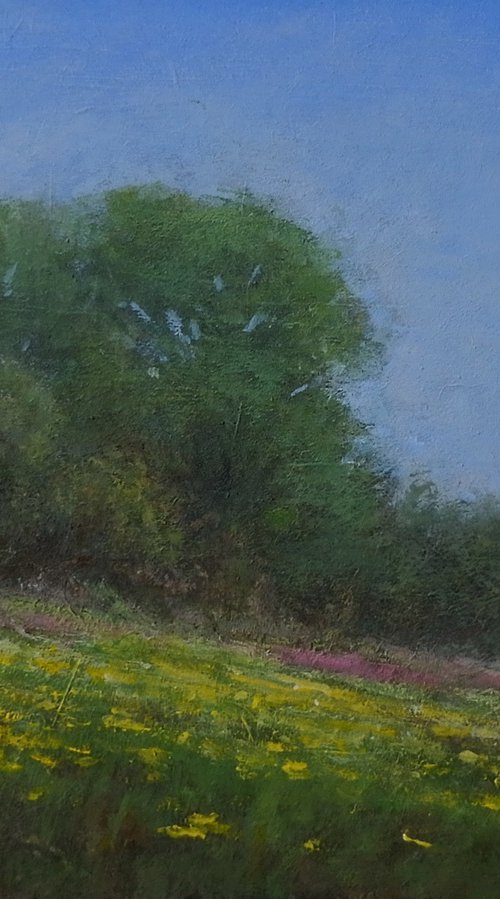 Blooming fields by Gerard Kramer