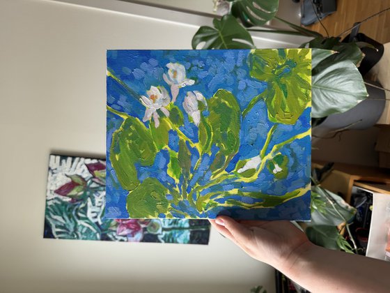 Water lilies