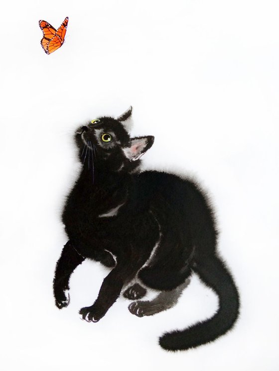 Black Cat Playing with Butterfly