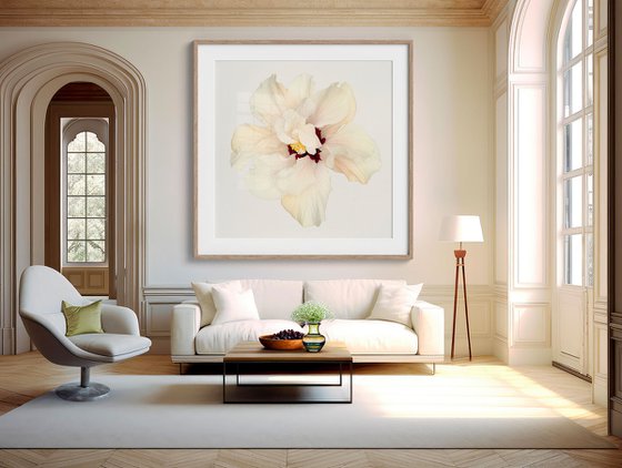 HIBISCUS IN WHITE