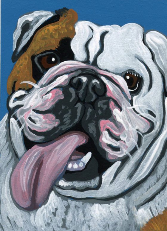 ACEO ATC Original Miniature Painting English Bulldog Pet Dog Art-Carla Smale