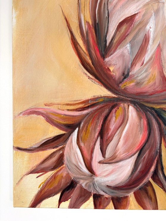 Proteas in Warm Light