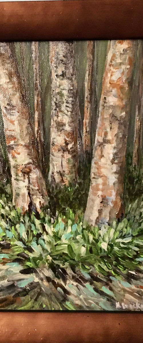 Birches at Owls Head by Nancy Brockmon