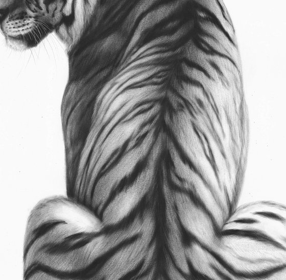 Quiet Majesty