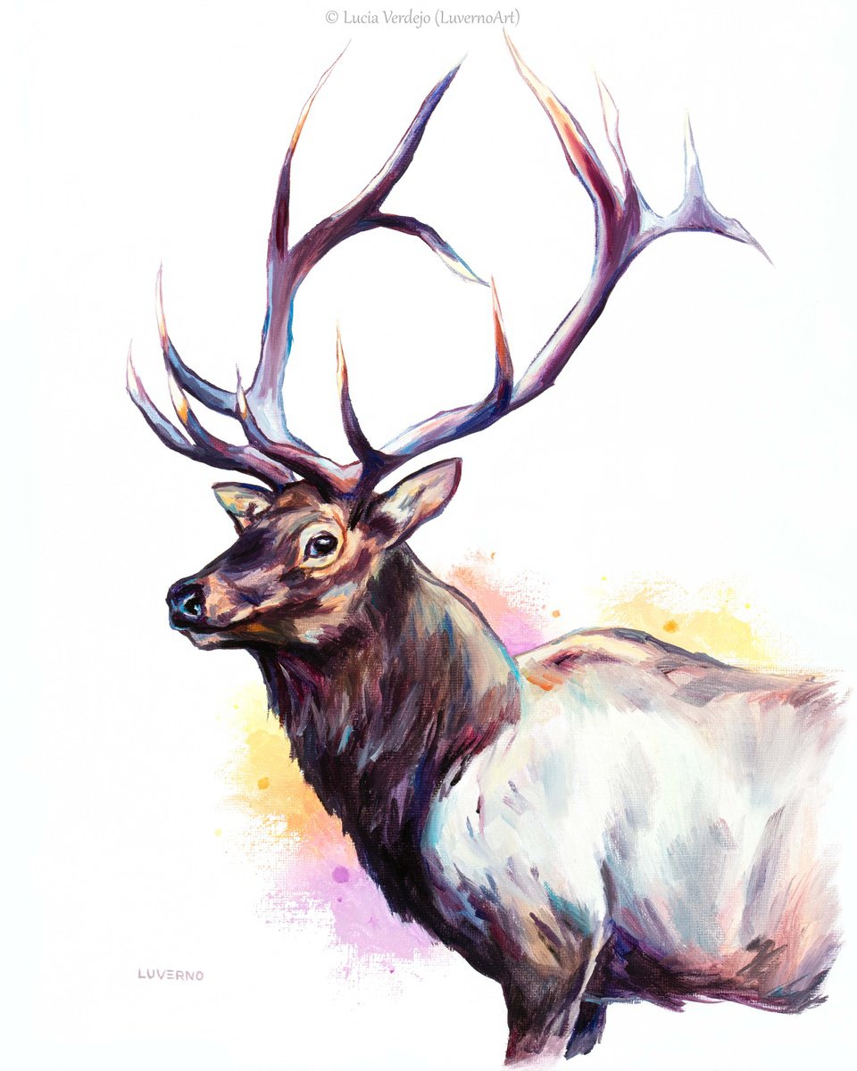 Impressive antlers by Lucia Verdejo