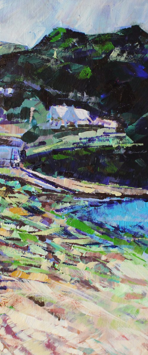 Hope Cove by Julia Preston