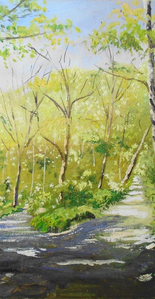Early Summer Walk Enbrook Park by Rod Bere