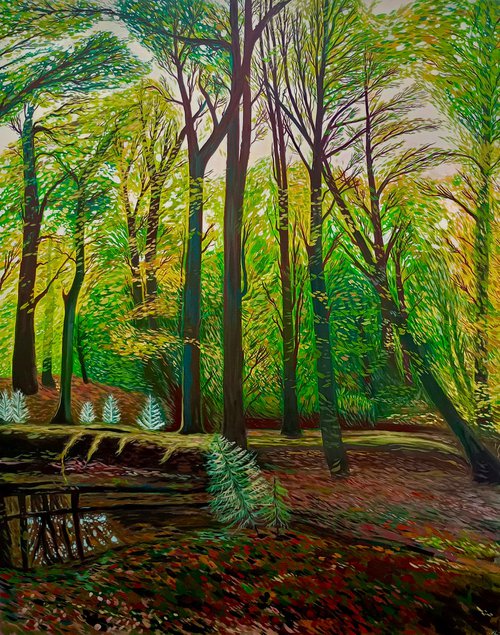 New Forest Trees by Kitty  Cooper