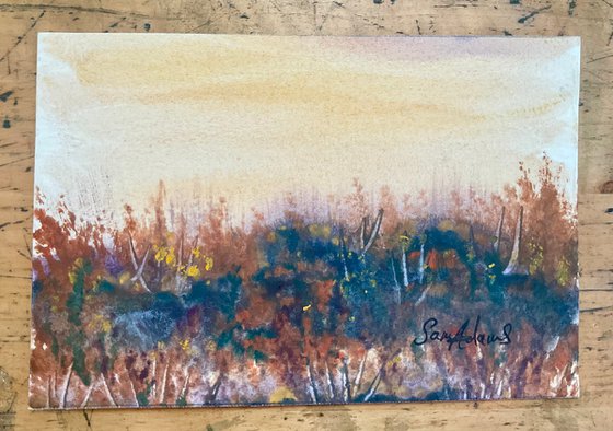 In the bracken