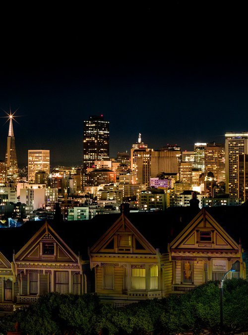 THE LADIES AFTER DARK by Harv Greenberg