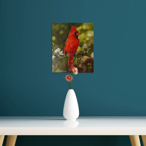 Red Cardinal with Spring Blossoms