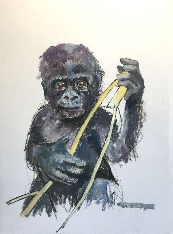 Gorilla