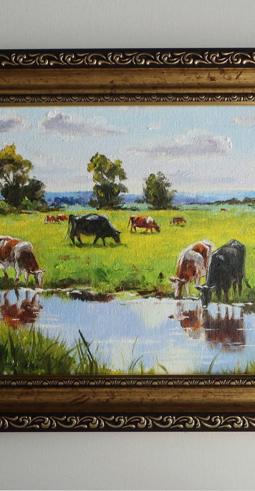Cows by the River, Sunny Day by Natalia Shaykina