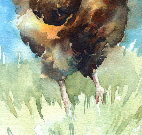 Сhicken in watercolor, Farm life, Bird painting