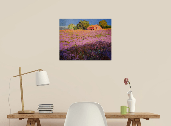 Lavender Field