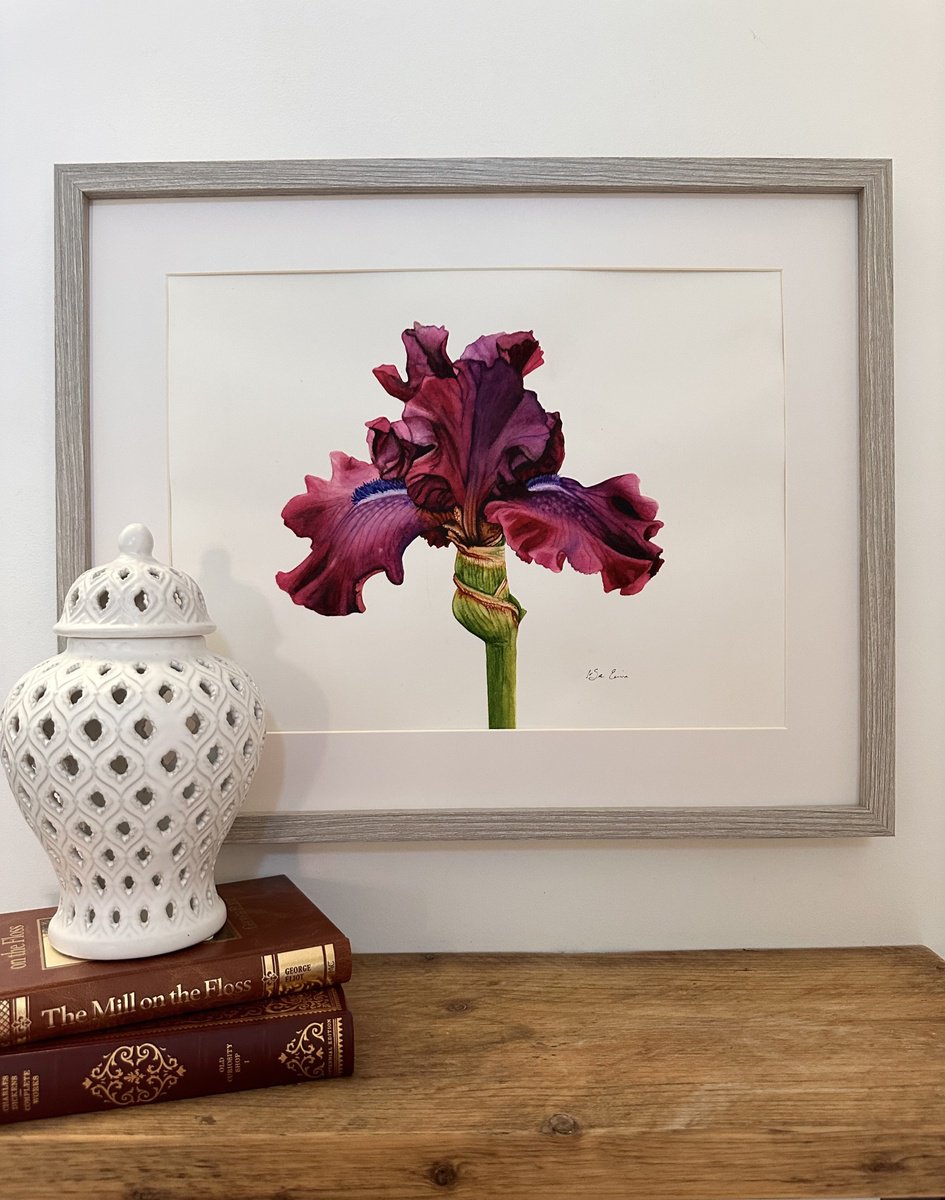 The Purple Iris by Irsa Ervin