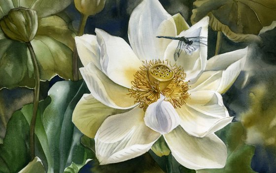 dragonfly with lotus blossom