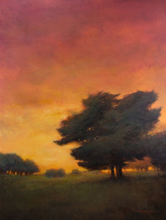 Trees At Sunset 36x48 inches