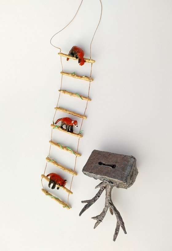 Red pandas climbing the ladder