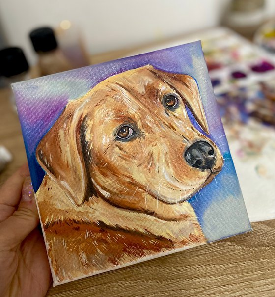 Labrador oil painting