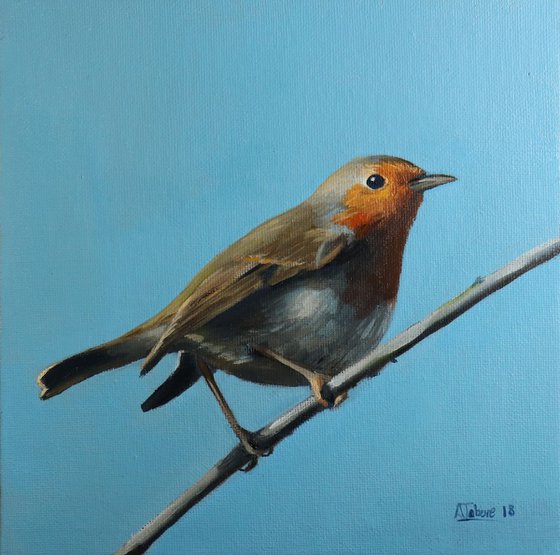 Robin on a Wire, Bird Artwork, Animal Art Framed