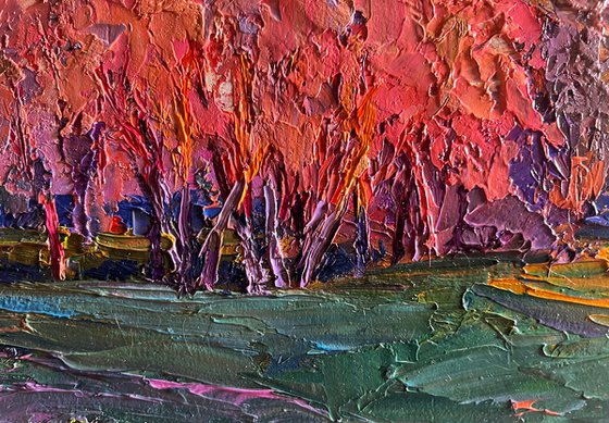 Autumn Evening in the Forest