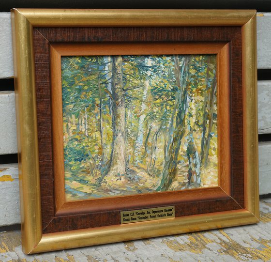 September. Forest. Surroundings of Ilyinki