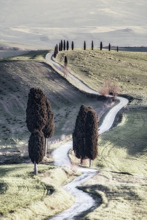Idyllic Tuscan road from the Gladiator movie