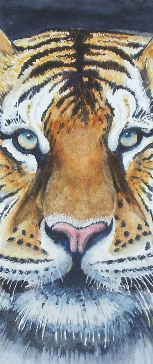 Tiger 2 by Max Aitken