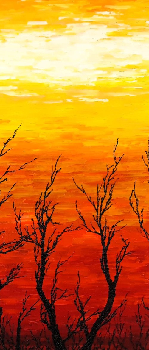 Sunny trees by Daniel Urbaník