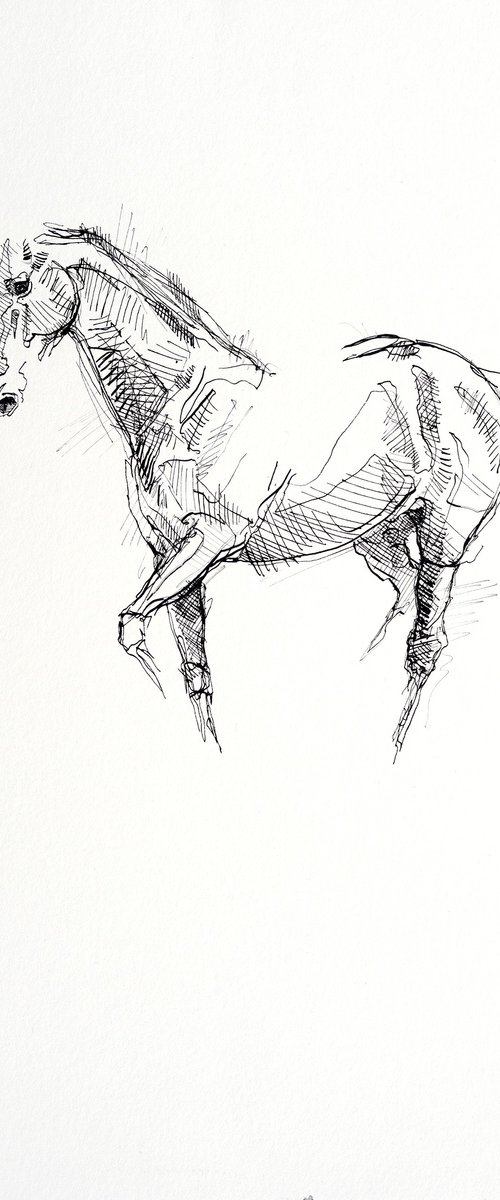 Equine Nude 28a by Benedicte Gele
