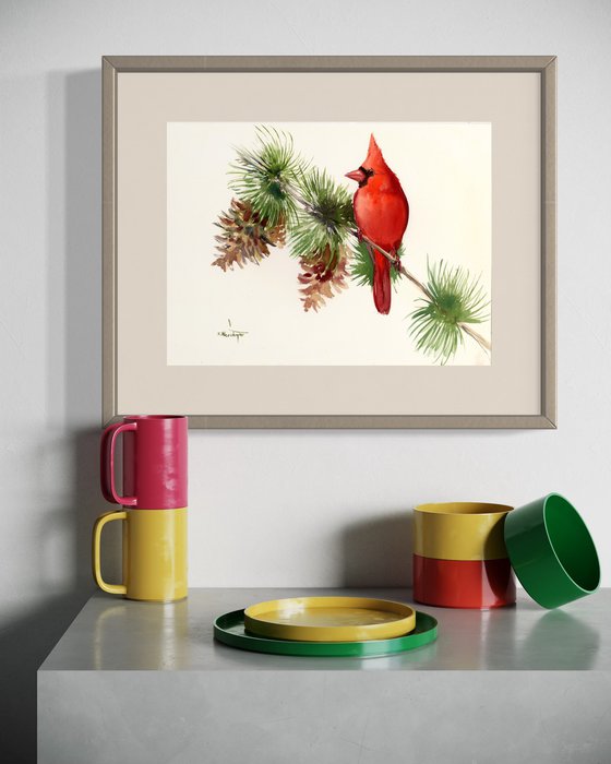 Cardinal Bird on Pine Tree