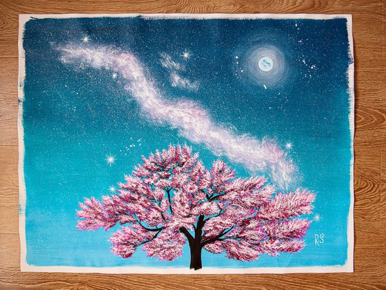 Pink sakura blossoms at night