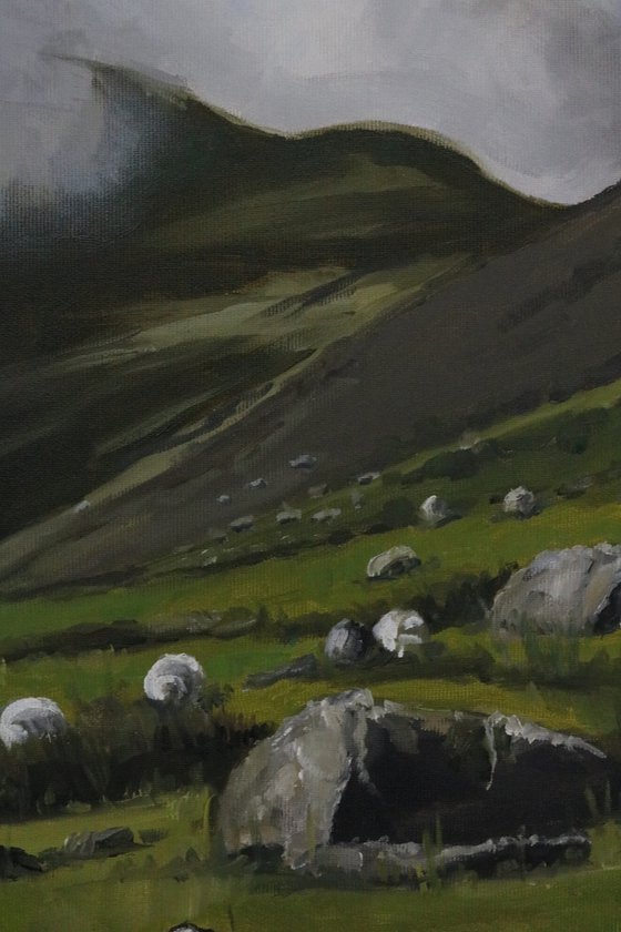 Sheep on a Snowdonia hillside