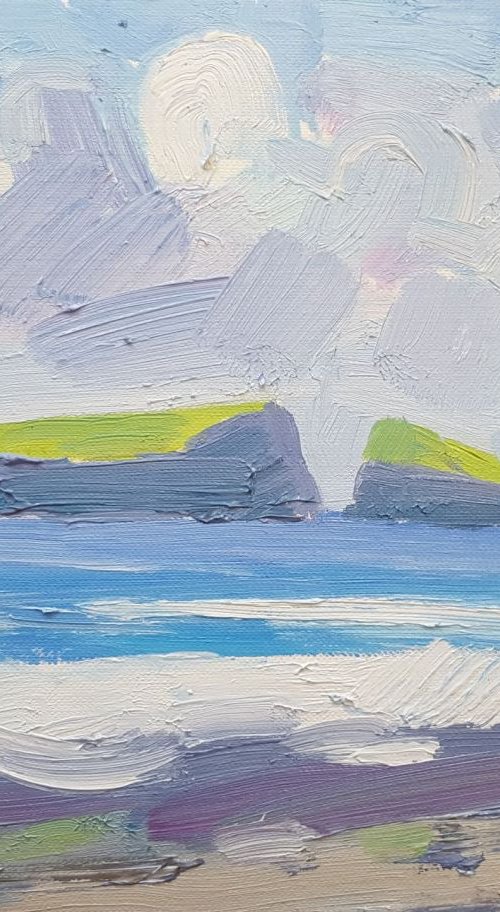 Caldey Island (Study) by David Pott