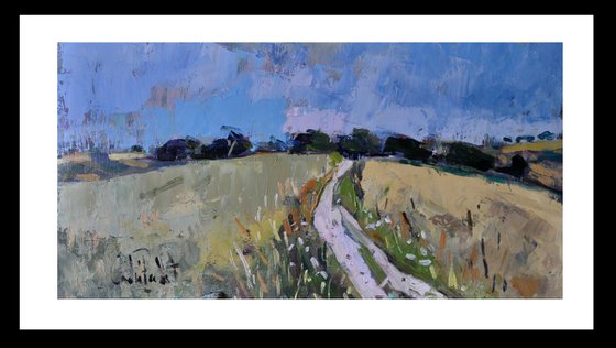 The Path at Cissbury