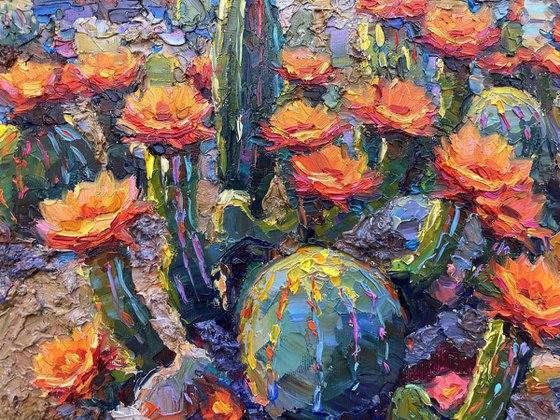 "Flowering cacti "