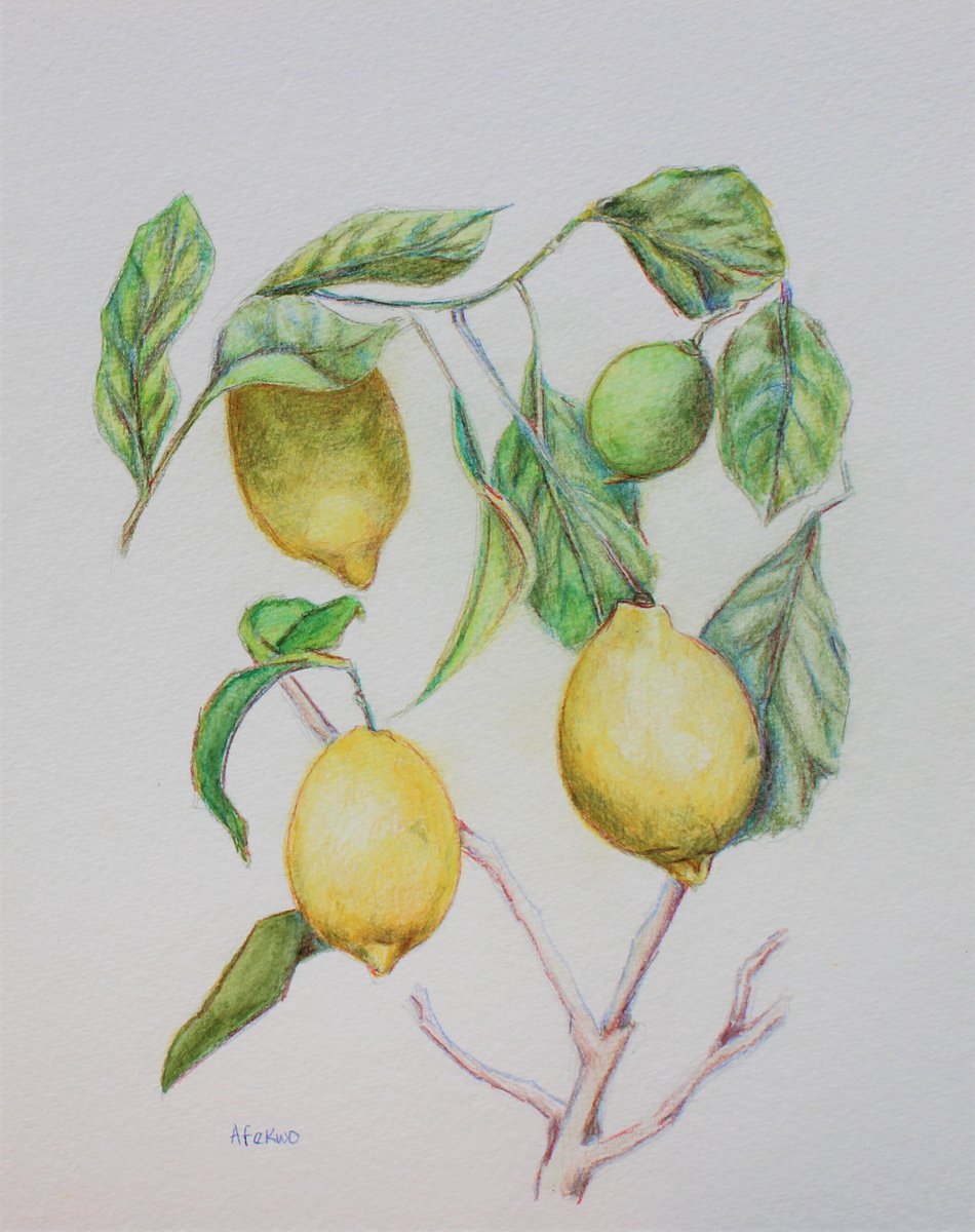 Impressionistic Landscape Watercolour By Afekwo, 11 X 14, Lemon Tree Iii, Original Artwork