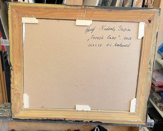 Forest lake