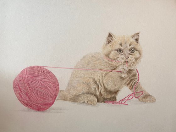 Kitten and wool