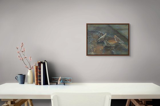 Sparrows Gathering