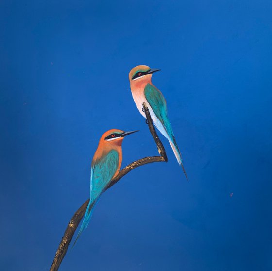 Looking For Bees ~ Bee Eaters