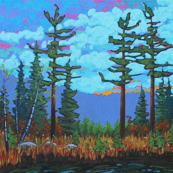 A Day in the Wilderness