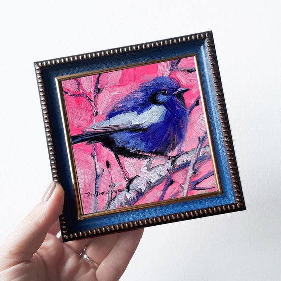 Blue bird picture frame White-winged Fairy-wren bird oil painting original 4x4