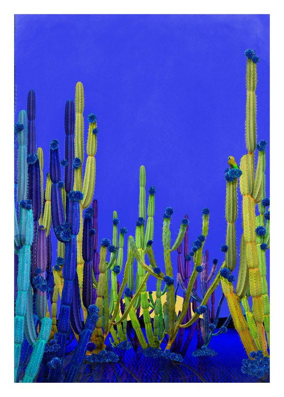 Cactus Blue