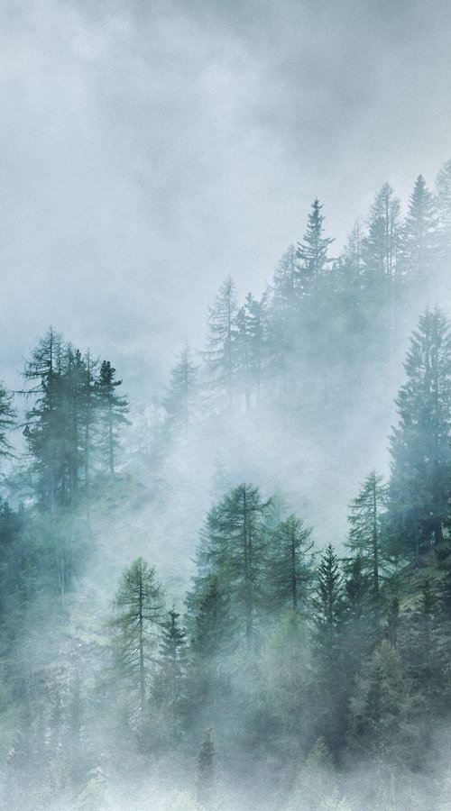 Mystic Forest - Foggy landscape by Peter Zelei
